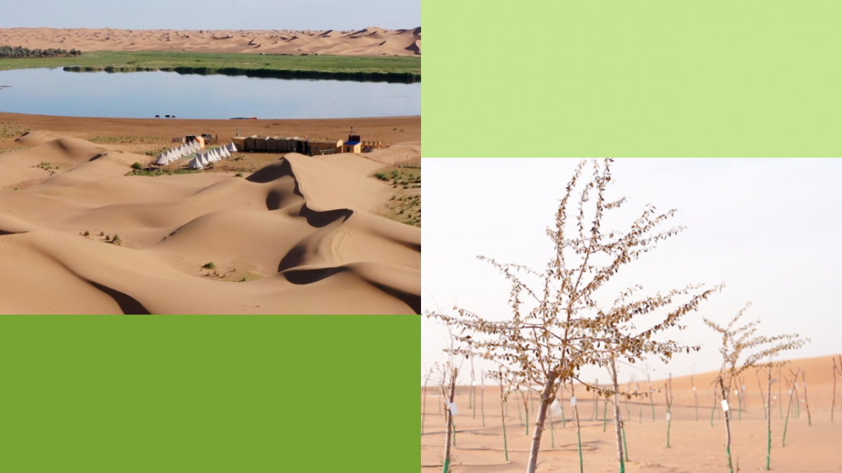 Tengri Desert Earth Day 2024 Alibaba